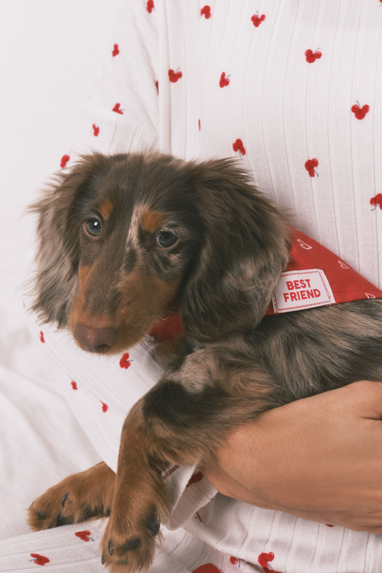 Women'secret Bandana para perro con estampado de corazones roja