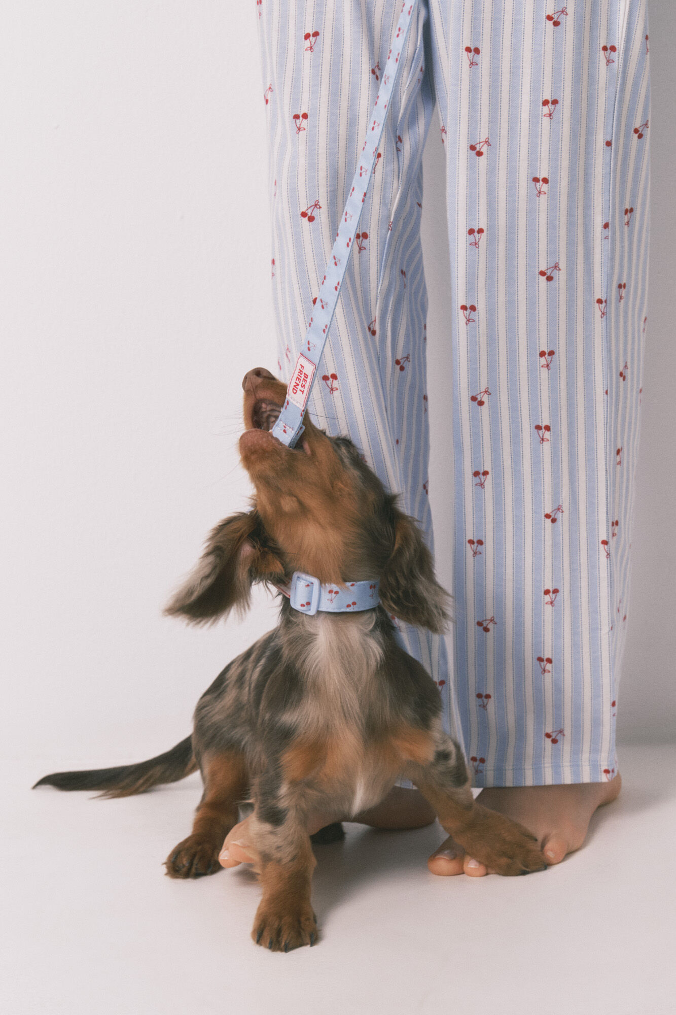 Women'secret Correa para perro de cerezas azul