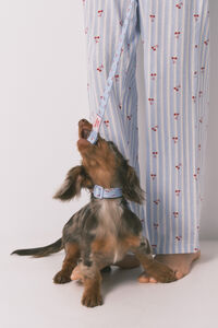 Women'secret Correa para perro de cerezas azul