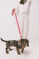 Women'secret Correa para perro con corazones roja rojo